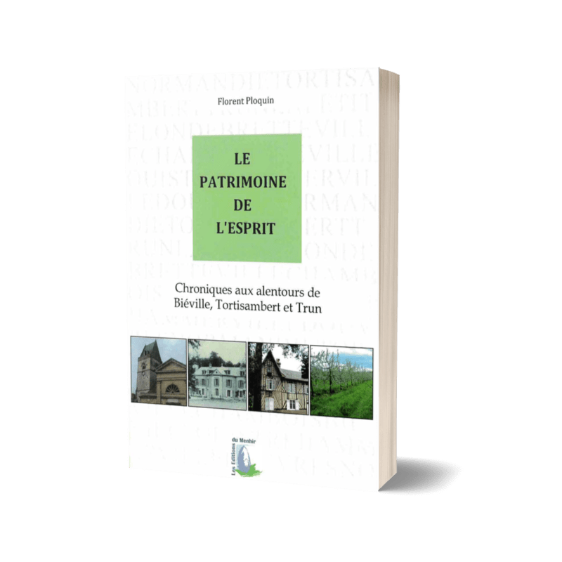 Mock up du livre papier Le Patrimoine de l'Esprit de Florent Ploquin