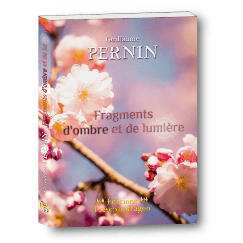 Fragments d’ombre et de lumière – Guillaume Pernin